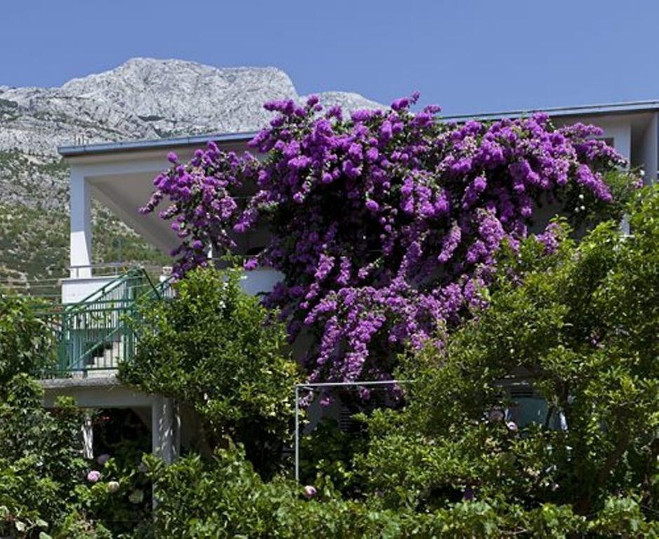House Marta Apartamento Baška Voda Exterior foto